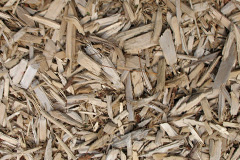 biomass boilers Ffostrasol